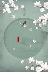 深入了解 星空无限传媒官网首页